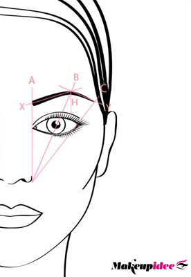 schema-sopracciglia-perfette